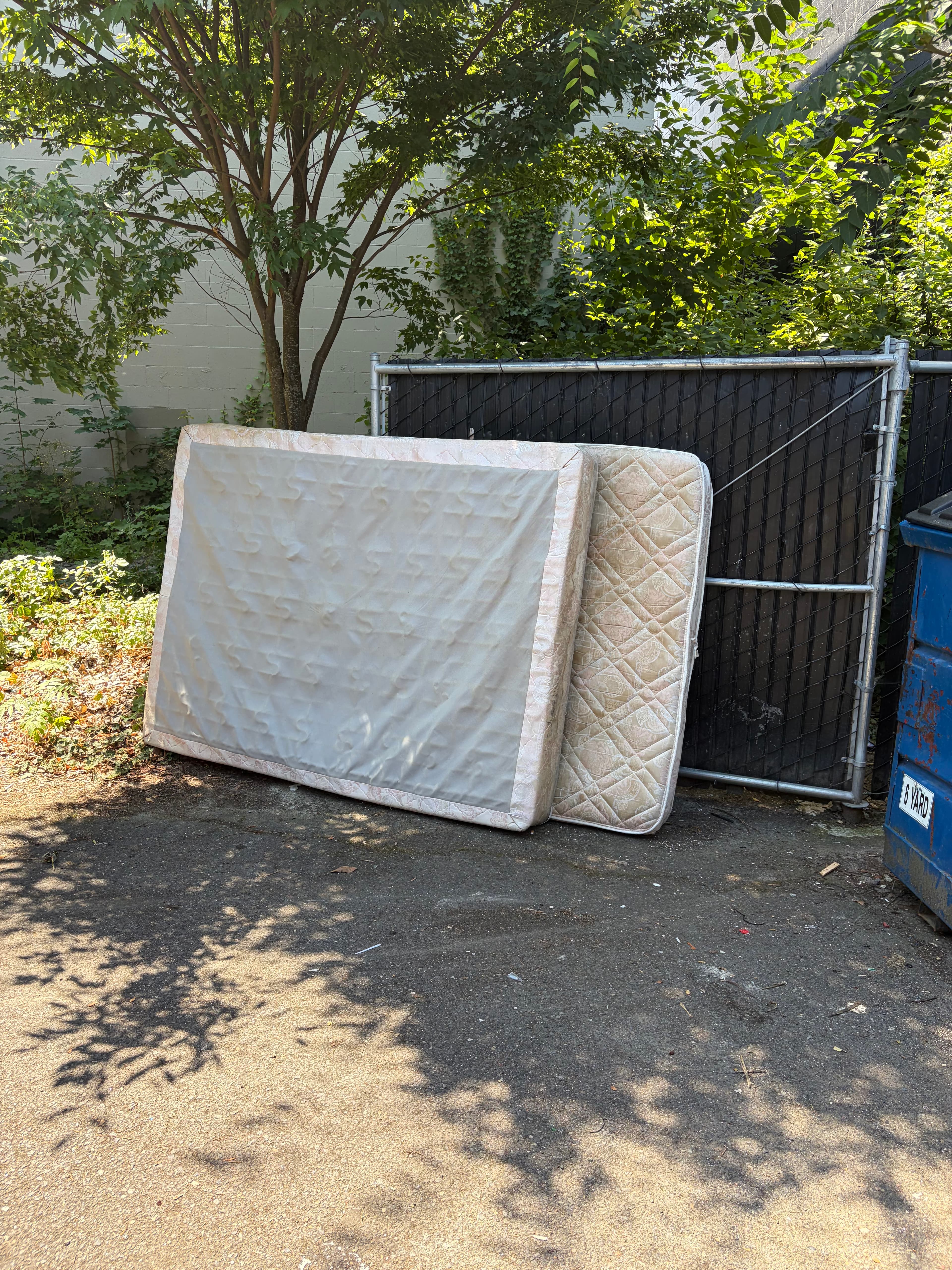 Two discarded mattresses leaning against a black chain-link fence in a sunny outdoor alley.